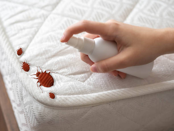 Best Residential Pest Control  in Grand Ledge, MI